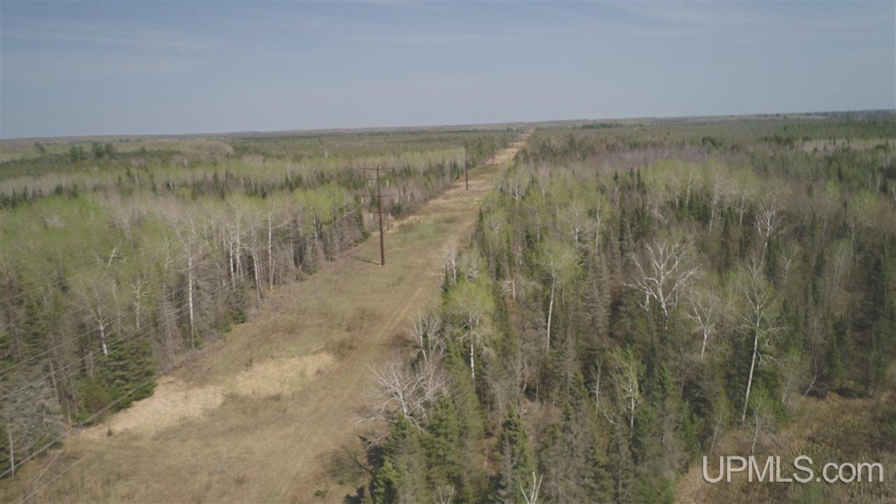 426 Rd Cornell Mi 49818 Road Cornell, MI 49818 - Photo 3 of 22