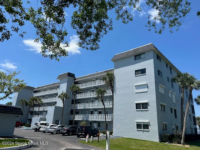 a view of a bunch of flowers and fruits