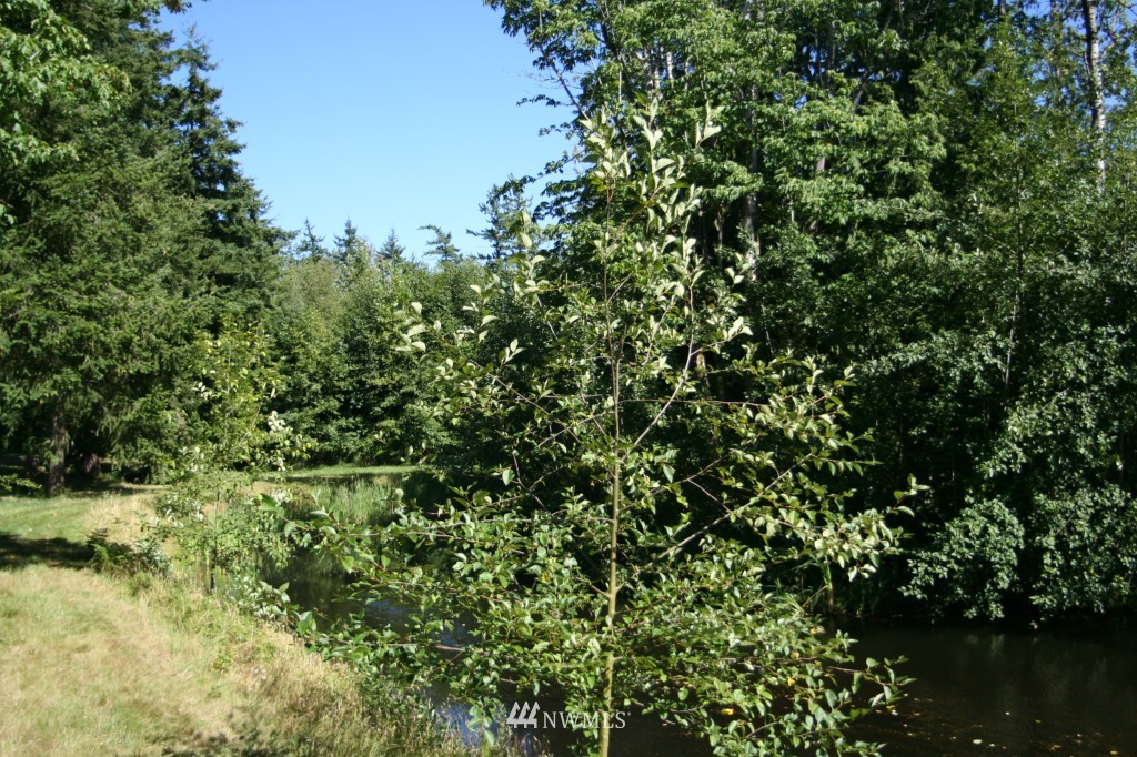 1050 A Telegraph Road Bellingham, WA 98226 - Photo 3 of 12 Gallery Image 3