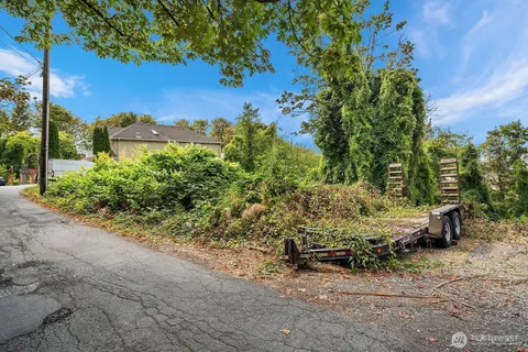 a view of a yard with plants and a bench