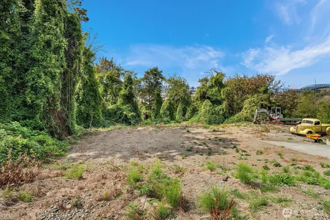 a view of a yard with a tree