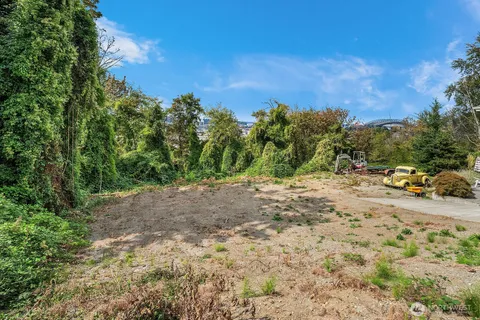 a view of a yard with a tree