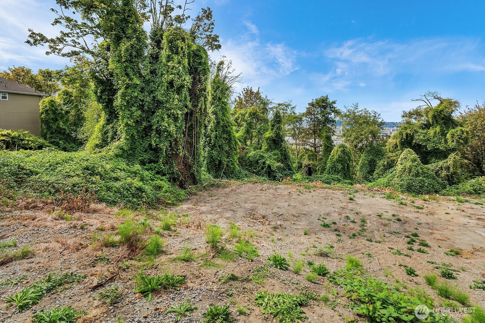 23 12th Avenue South Seattle, WA 98144 - Photo 7 of 17 a view of a yard with a tree