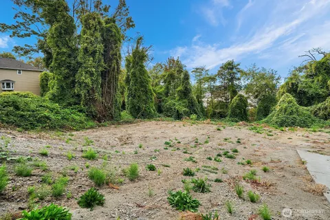 a view of a yard with plants and trees