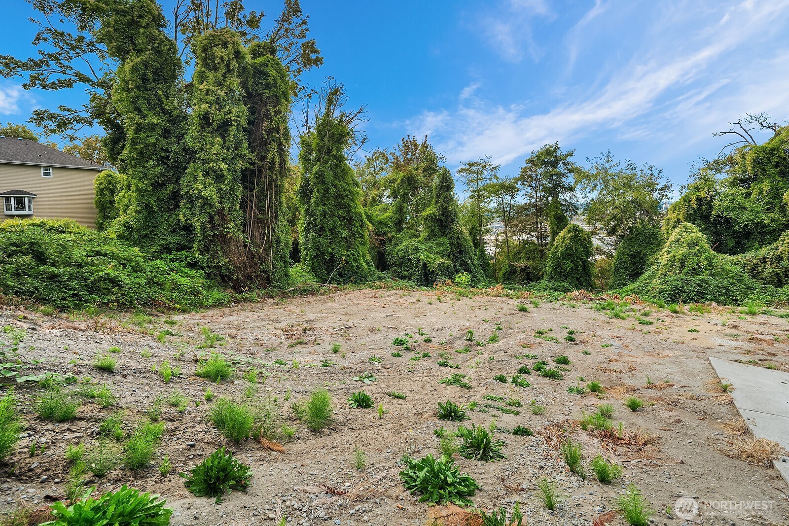 23 12th Avenue South Seattle, WA 98144 - Photo 8 of 17 a view of a yard with plants and trees