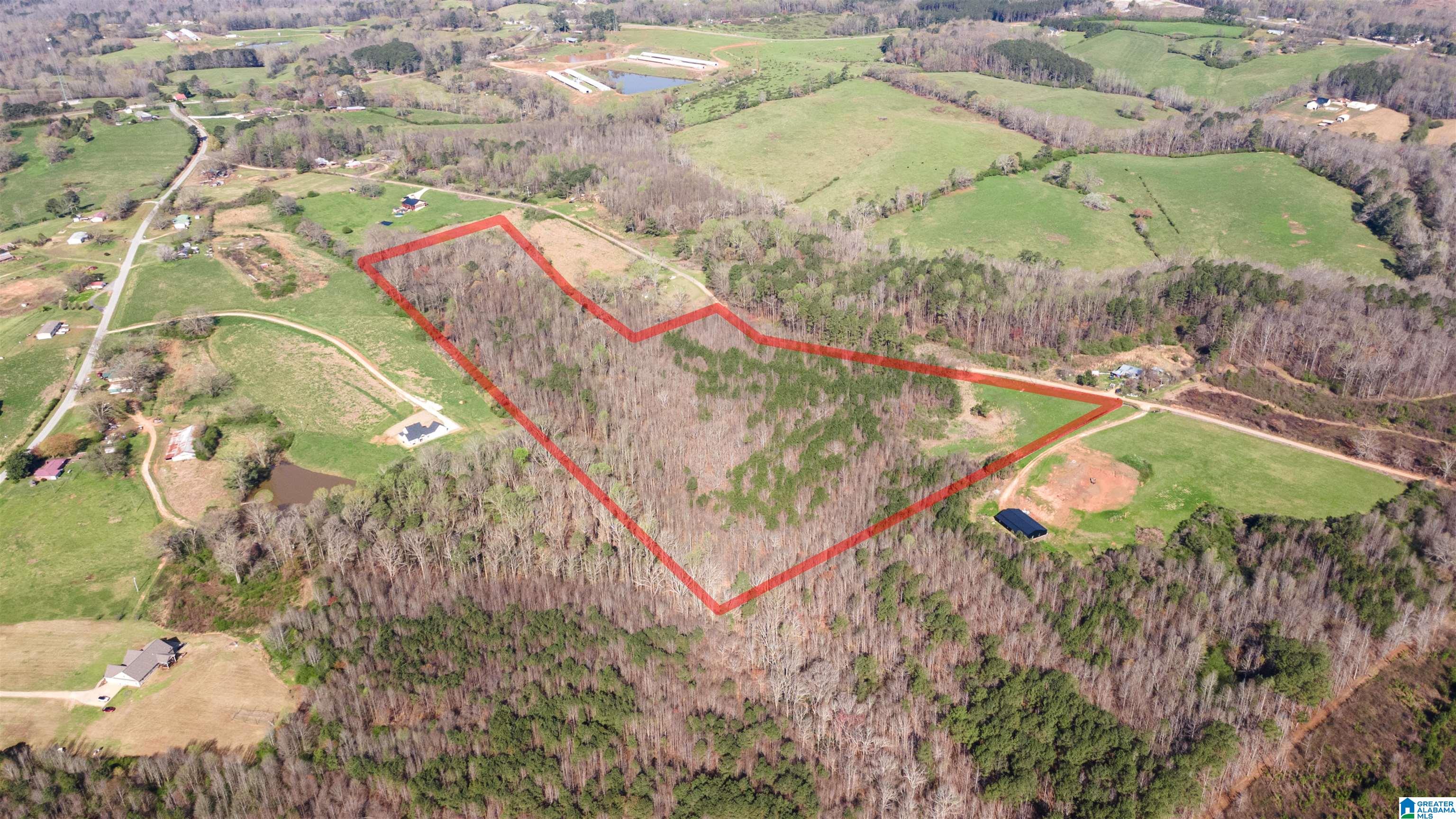 0 County Road 670, Unit 1 Ranburne, AL 36273 - Photo 12 of 18