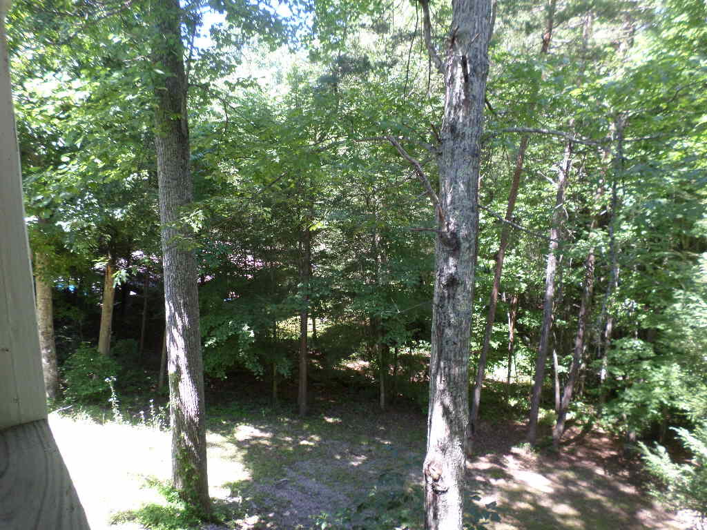 5993 Dan Ridge Road Wellington, KY 40387 - Photo 14 of 24 SAM_4332