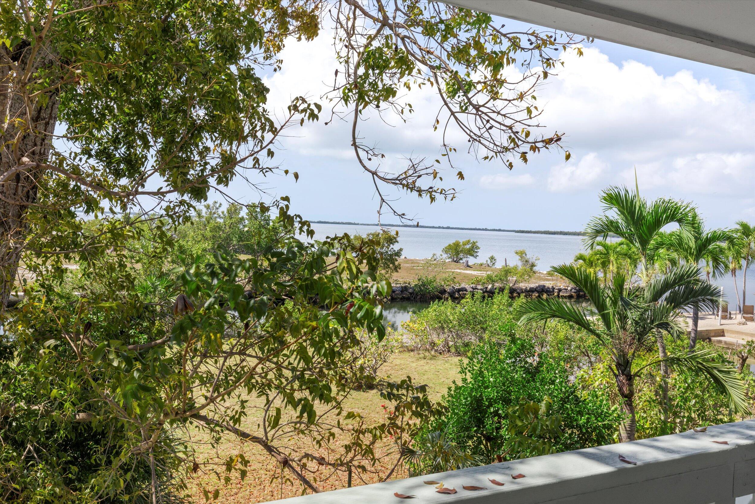 3714 Pine Street Big Pine Key, FL 33043 - Photo 32 of 64 a view of a tree in front of a door