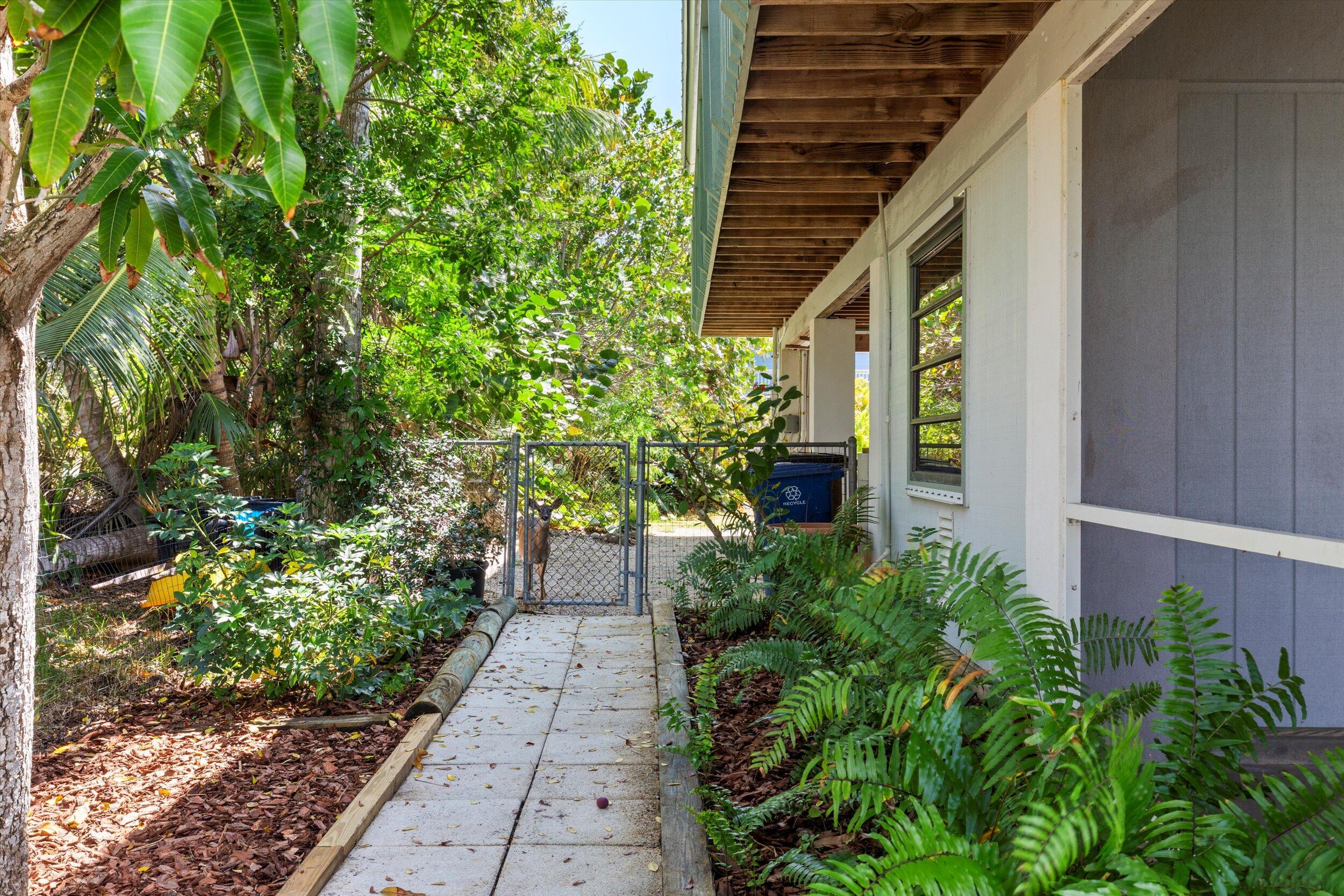 3714 Pine Street Big Pine Key, FL 33043 - Photo 36 of 64 a backyard of a house with trees