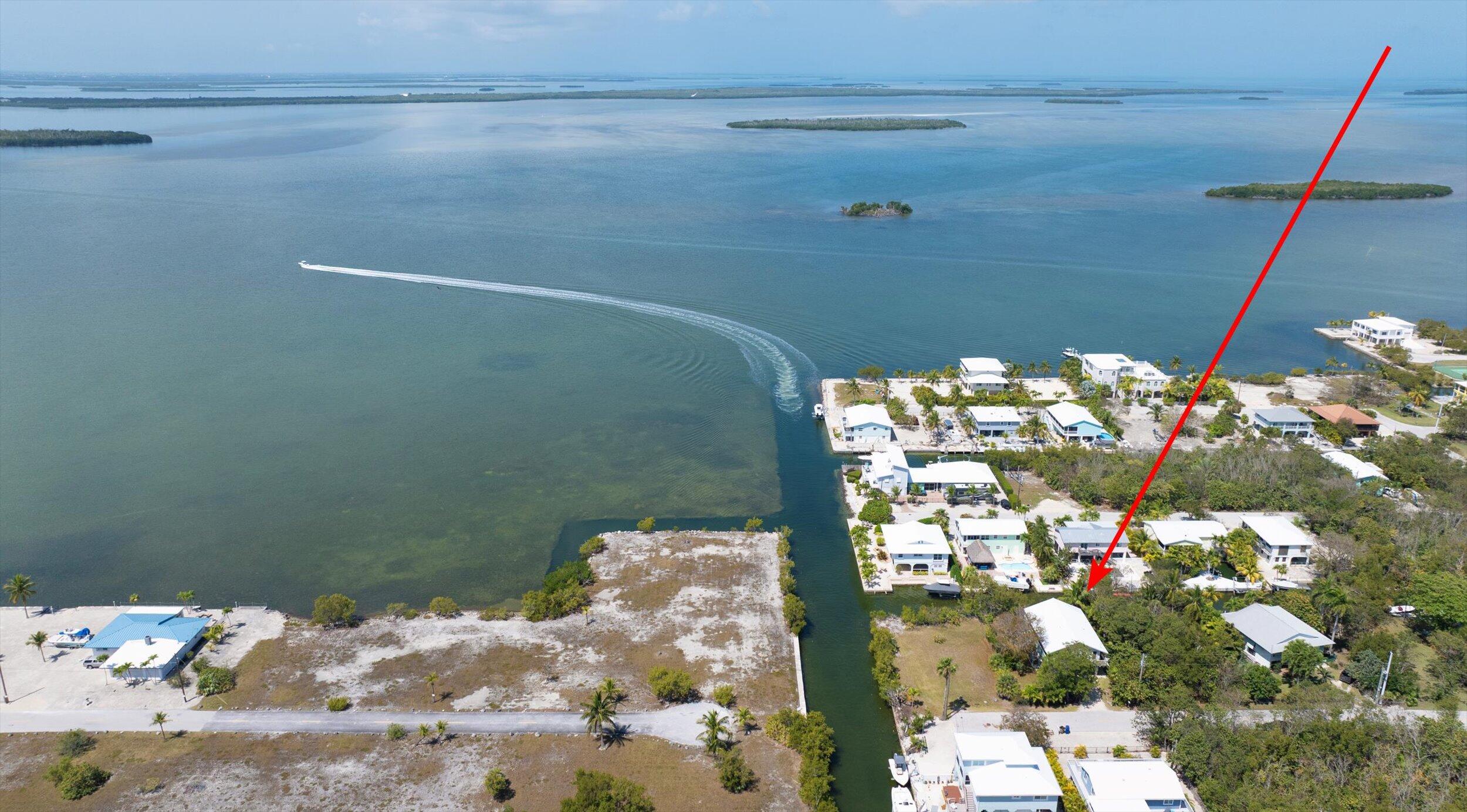 3714 Pine Street Big Pine Key, FL 33043 - Photo 4 of 64 a close up of a vase of flowers