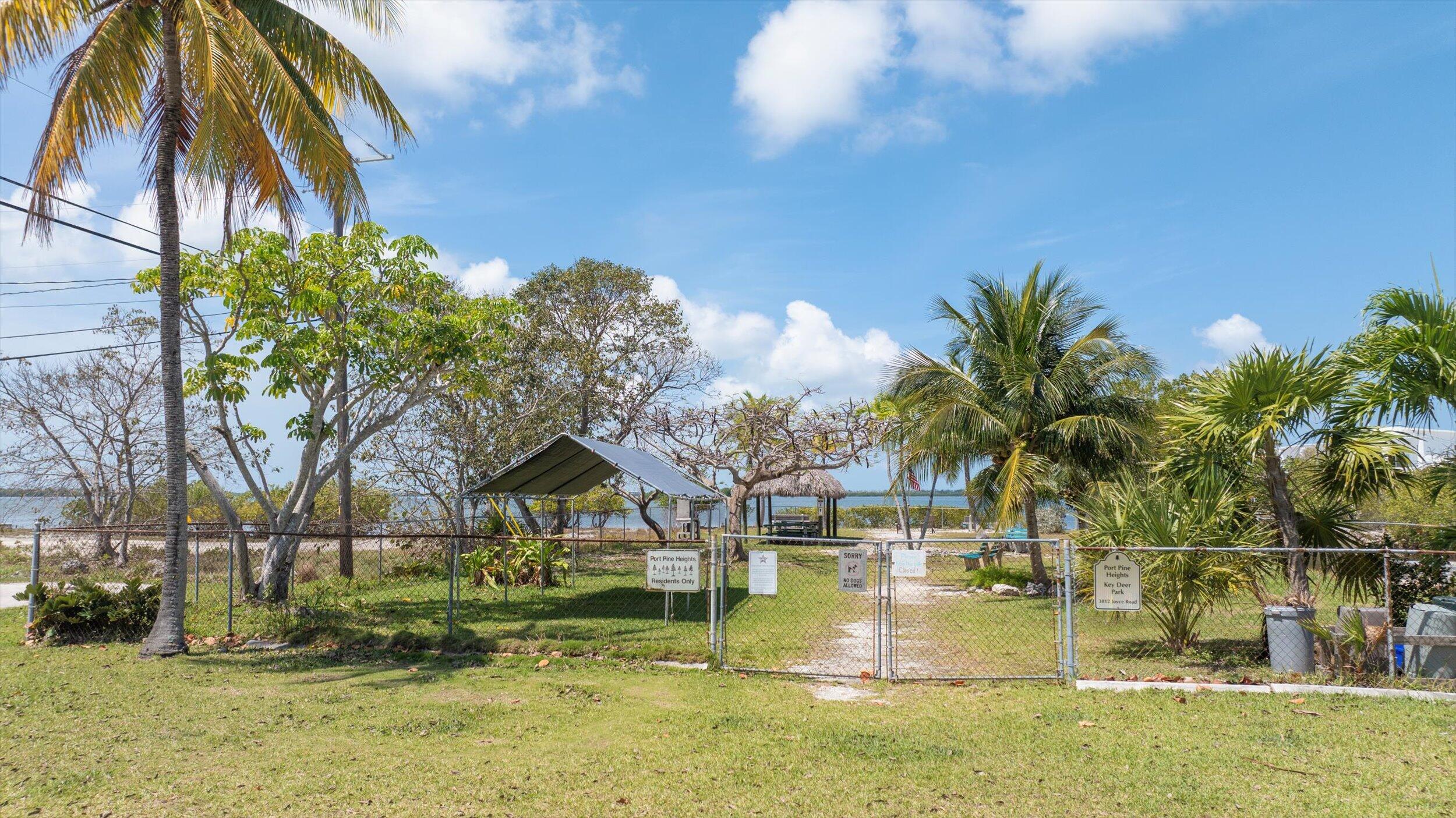 3714 Pine Street Big Pine Key, FL 33043 - Photo 64 of 64 a view of swimming pool with a yard