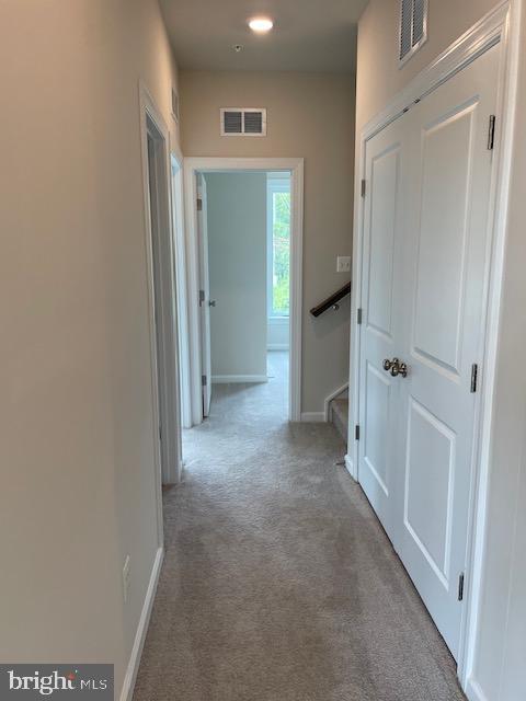 8235 Front Loop Rockville, MD 20855 - Photo 15 of 22 carpeting on level 3