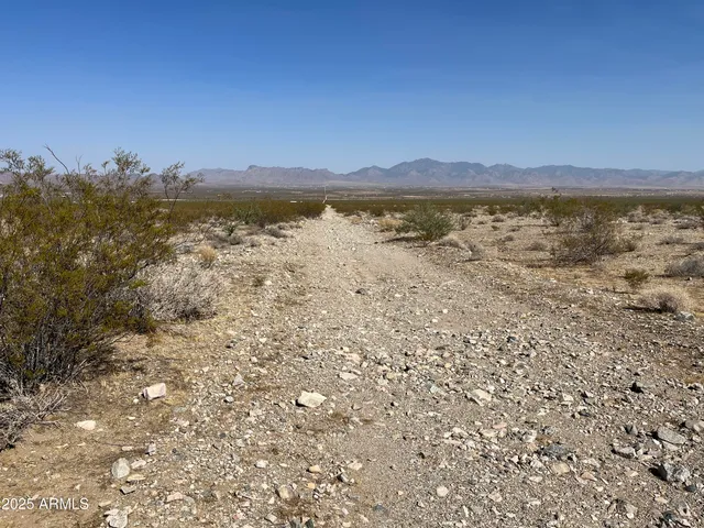 a view of a dry yard with trees