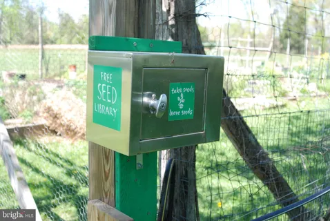 a view of yard with trees in the background