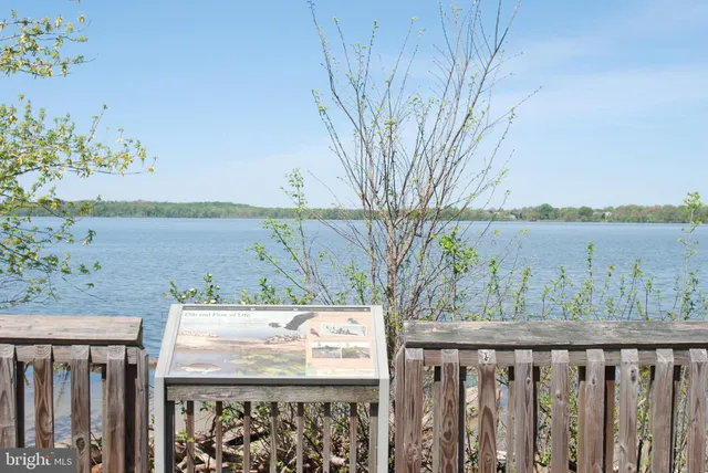 a view of a ocean with beach