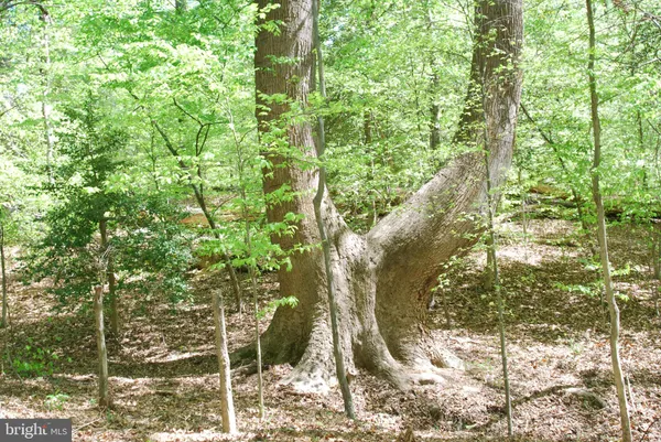 a view of outdoor space