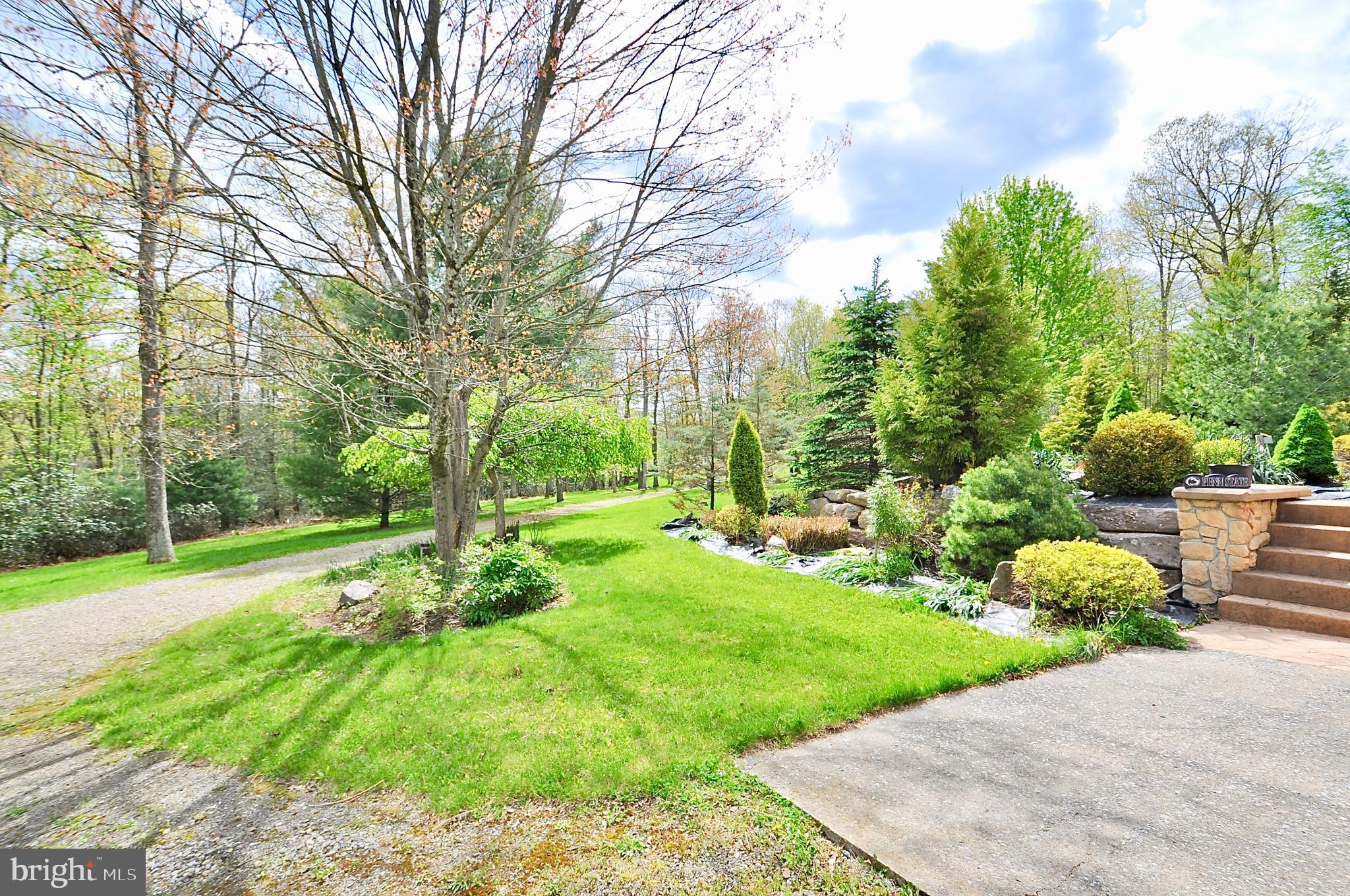 144 Main Road Spring Mills, PA 16875 - Photo 7 of 65
