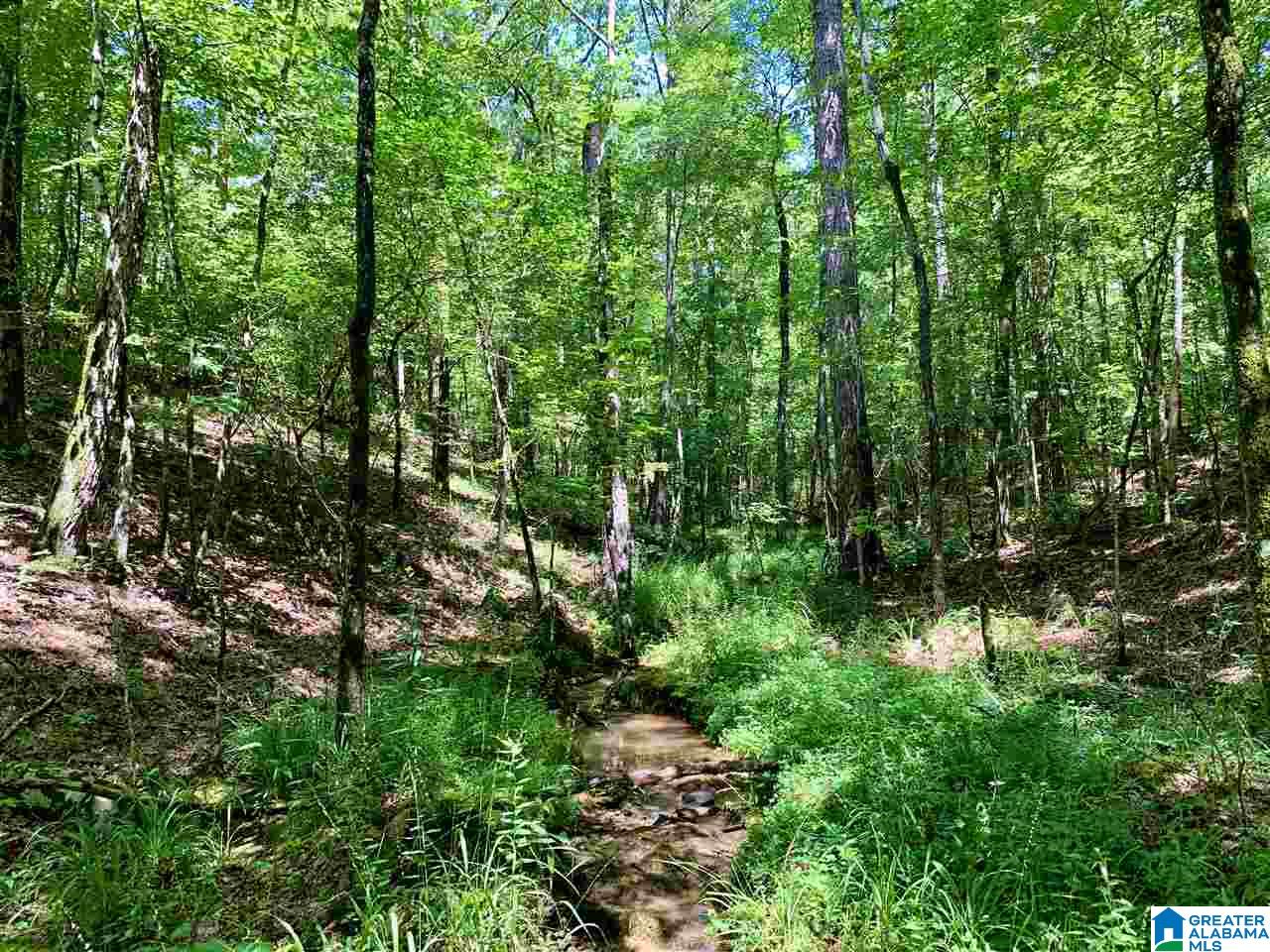 0 Brown Road Calera, AL 35040 - Photo 14 of 18