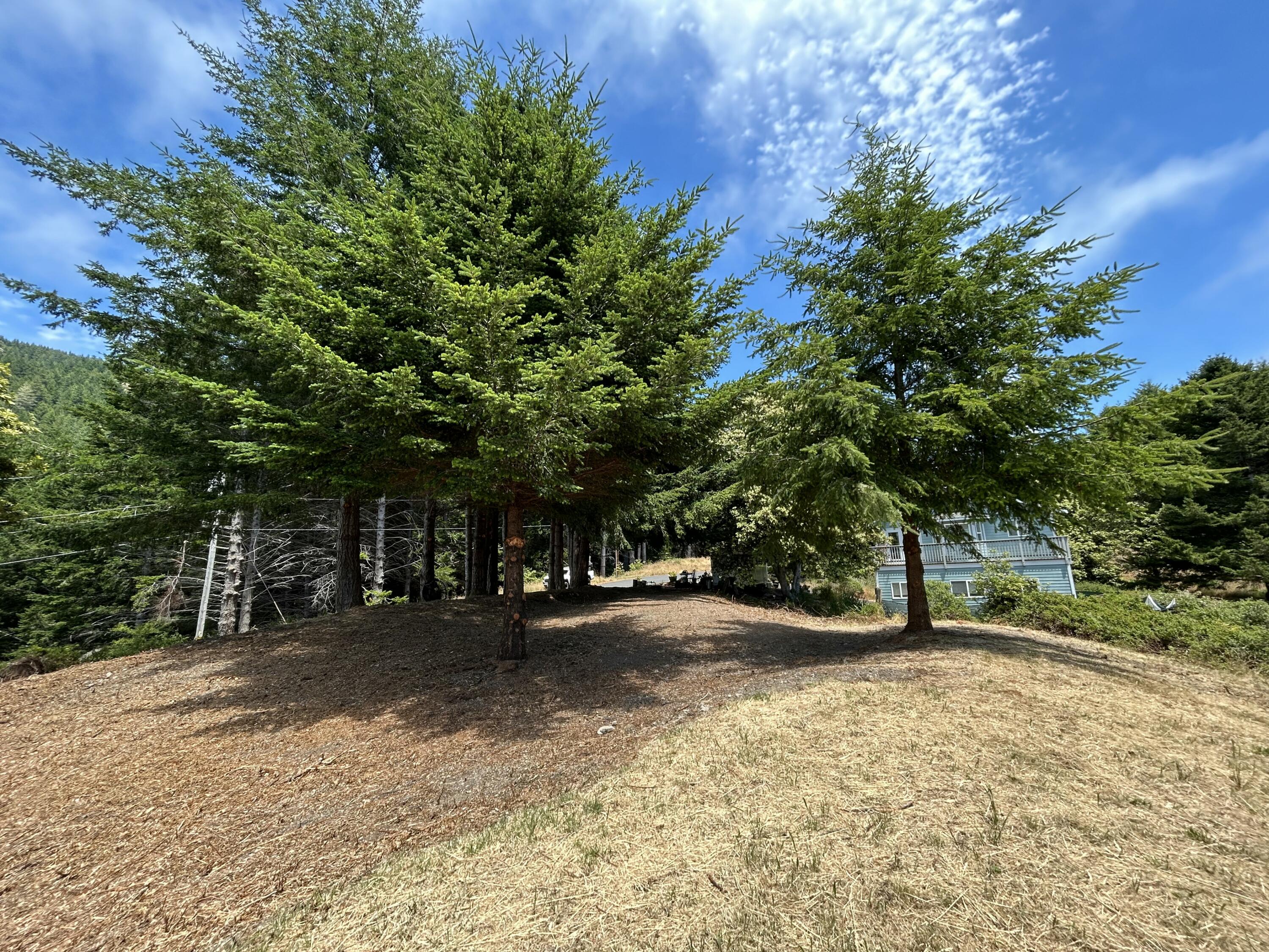 542-554 Ridge Road Shelter Cove, CA 95589 - Photo 9 of 20
