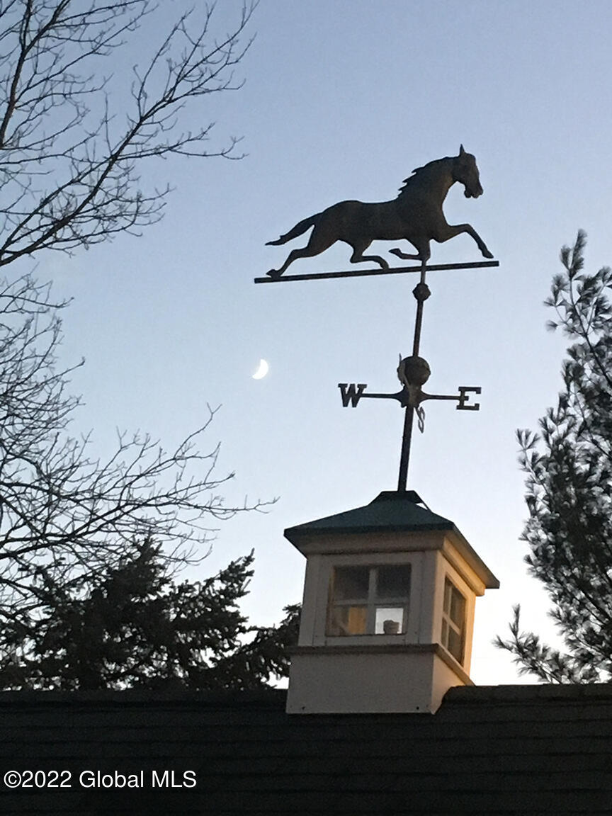 8 Altamont Road Voorheesville, NY 12186 - Photo 53 of 69 Cottage - weathervane