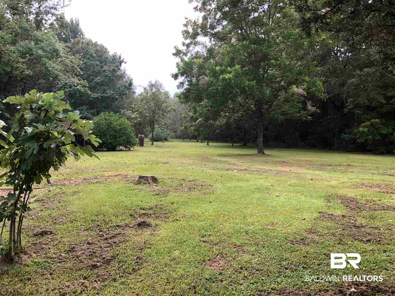 34825 Pond Road Stapleton, AL 36578 - Photo 21 of 28 Back Yard
