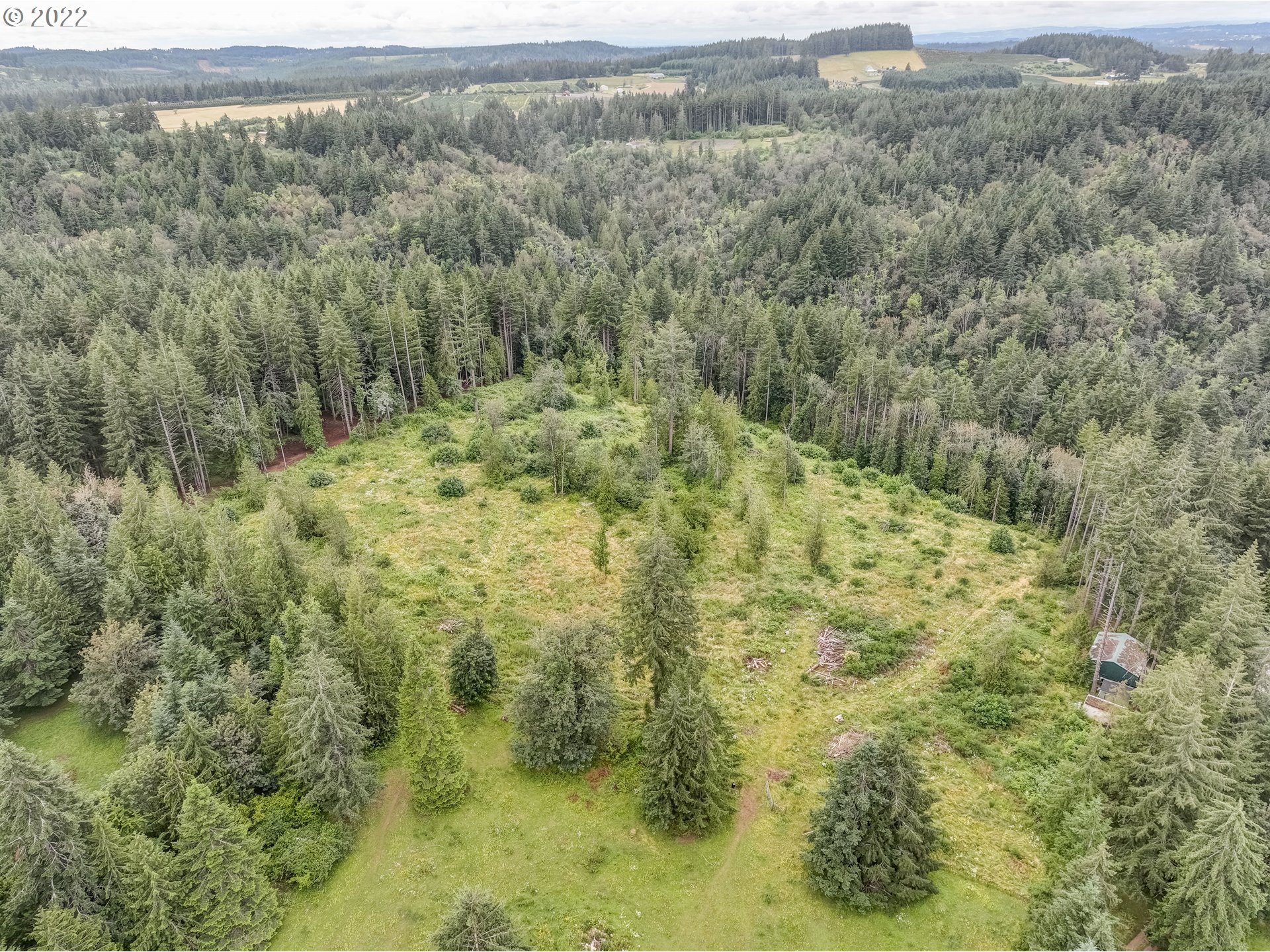 19887 South Ridge Road Oregon City, OR 97045 - Photo 23 of 26 a view of a forest with a street