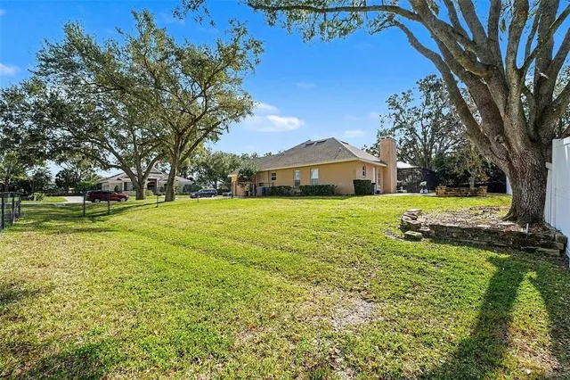 a view of a park with large trees