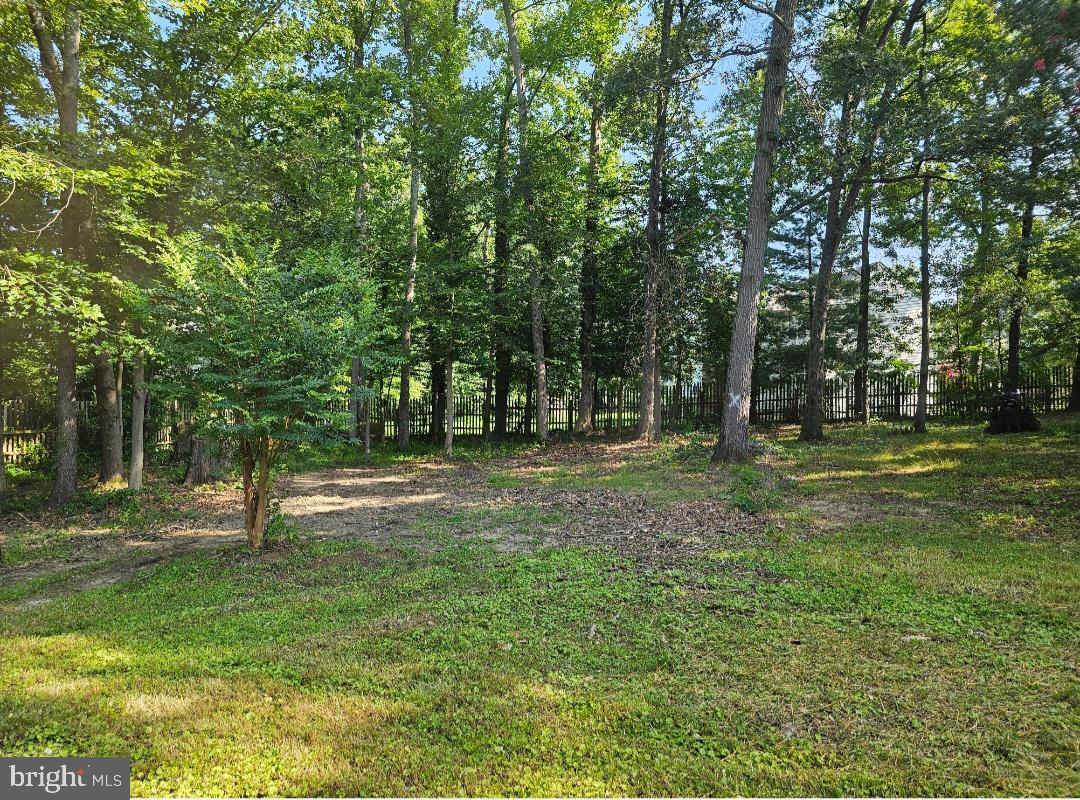 2322 Alava Court Waldorf, MD 20603 - Photo 35 of 41 Photo of yard before tree removal