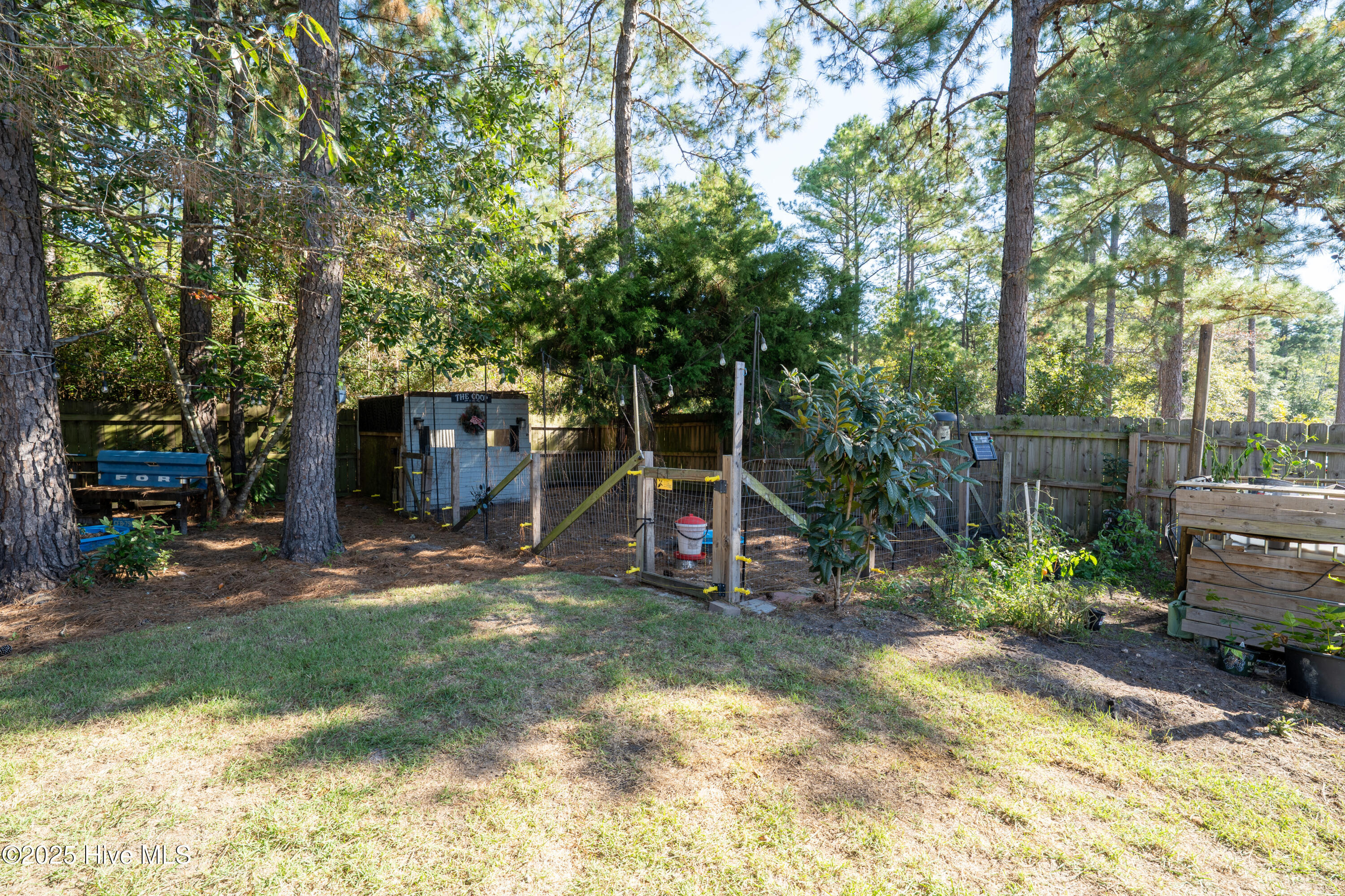 430 Ellis Road Southeast, Unit LOT #55 Bolivia, NC 28422 - Photo 60 of 108 Chicken coop & garden area