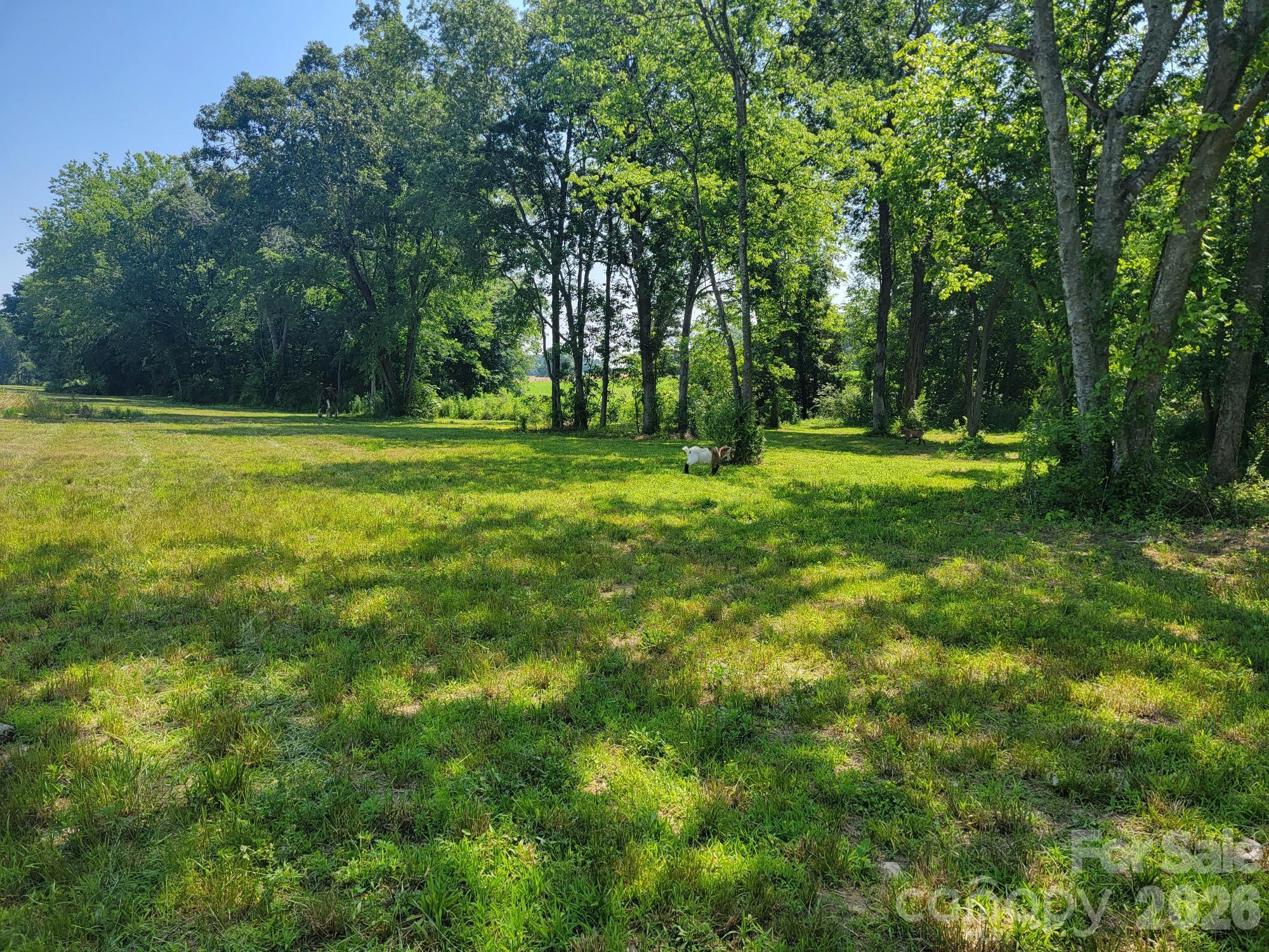 3233 Hahn-Scott Road Mount Pleasant, NC 28124 - Photo 11 of 29
