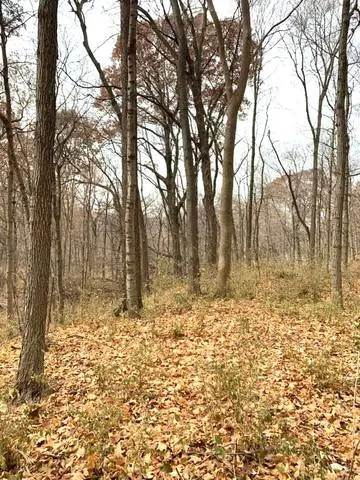 $169,900 | 0 Winterbottom Road, Morris, IL 60450