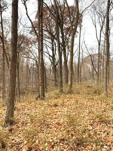 0 Winterbottom Road Morris, IL 60450 - Photo 3 of 3