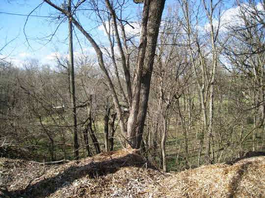 3579 South Bend Road Rockford, IL 61109 - Photo 9 of 10 a view of a yard with large tree