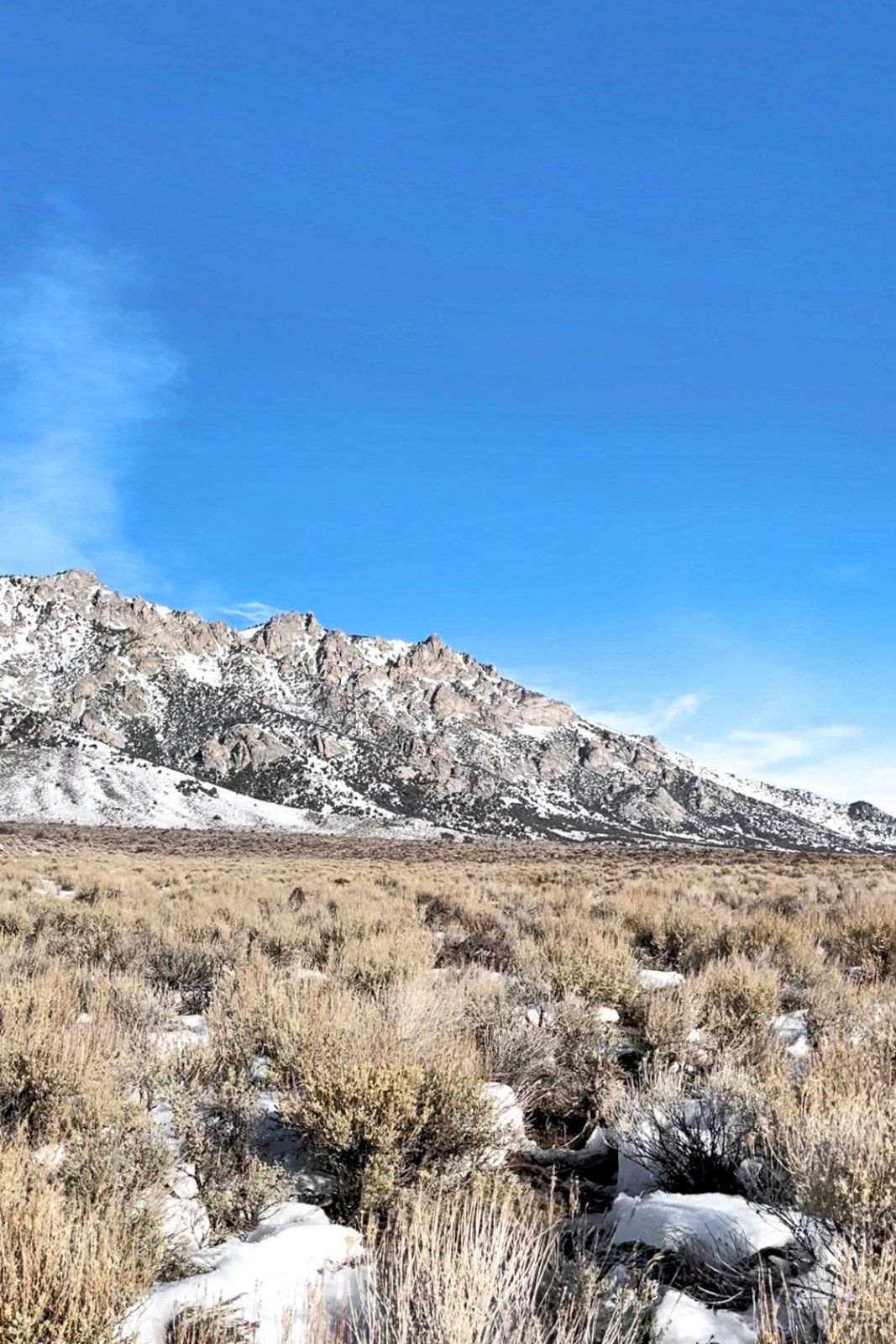 10873 Ruby Valley Road Spring Creek, NV 89815 - Photo 18 of 21