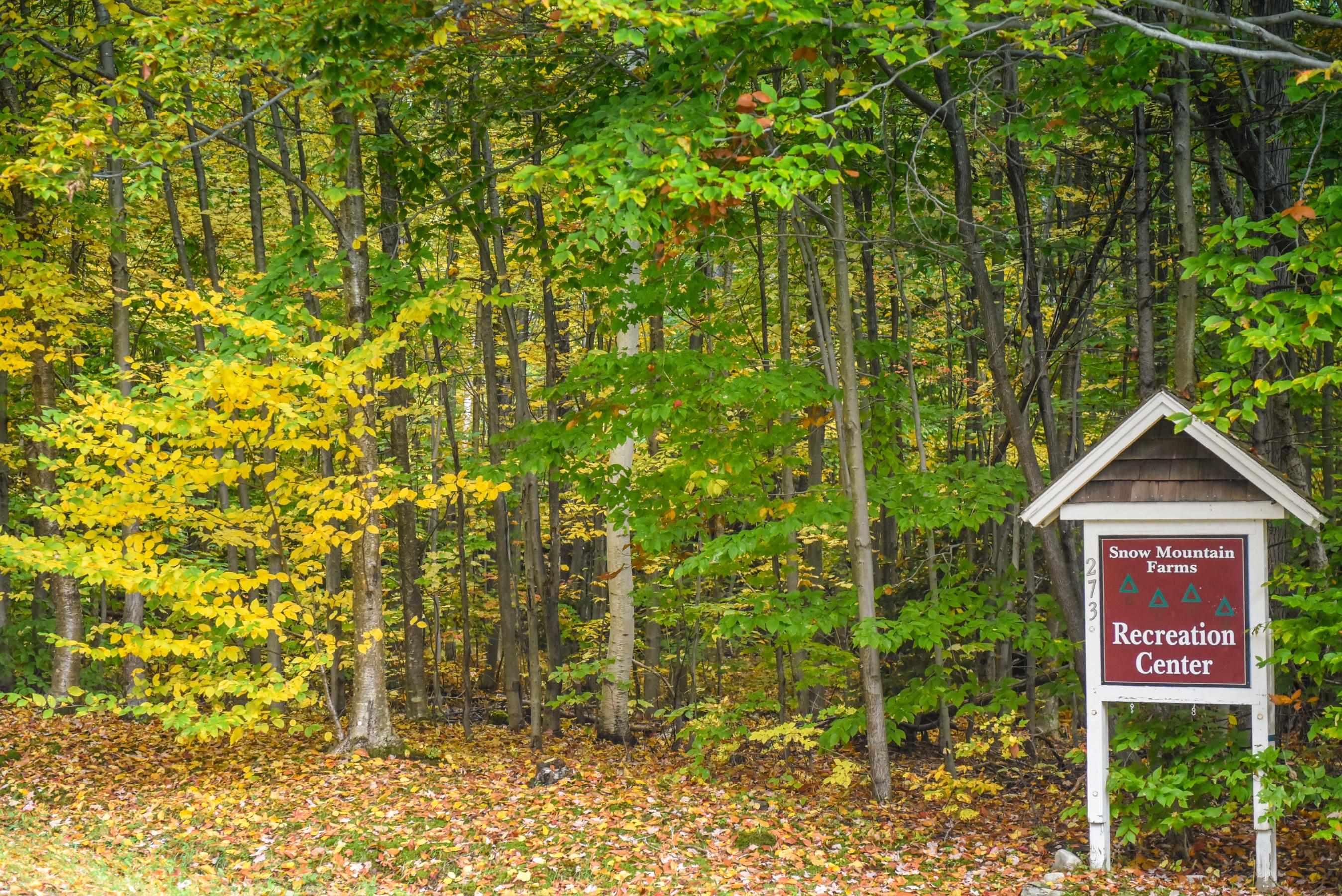 275 Pams Hill Road Wardsboro, VT 05360 - Photo 26 of 29 Gallery Image 26