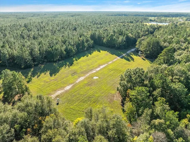 $2,700,000 | 3139 Fm 1293, Kountze, TX 77625