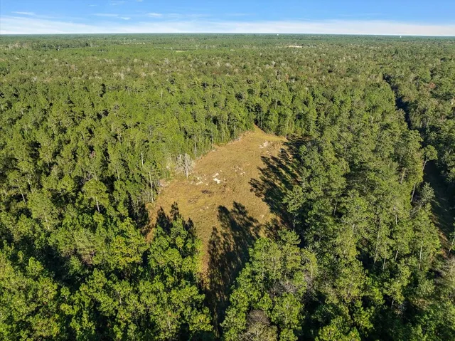 $2,700,000 | 3139 Fm 1293, Kountze, TX 77625