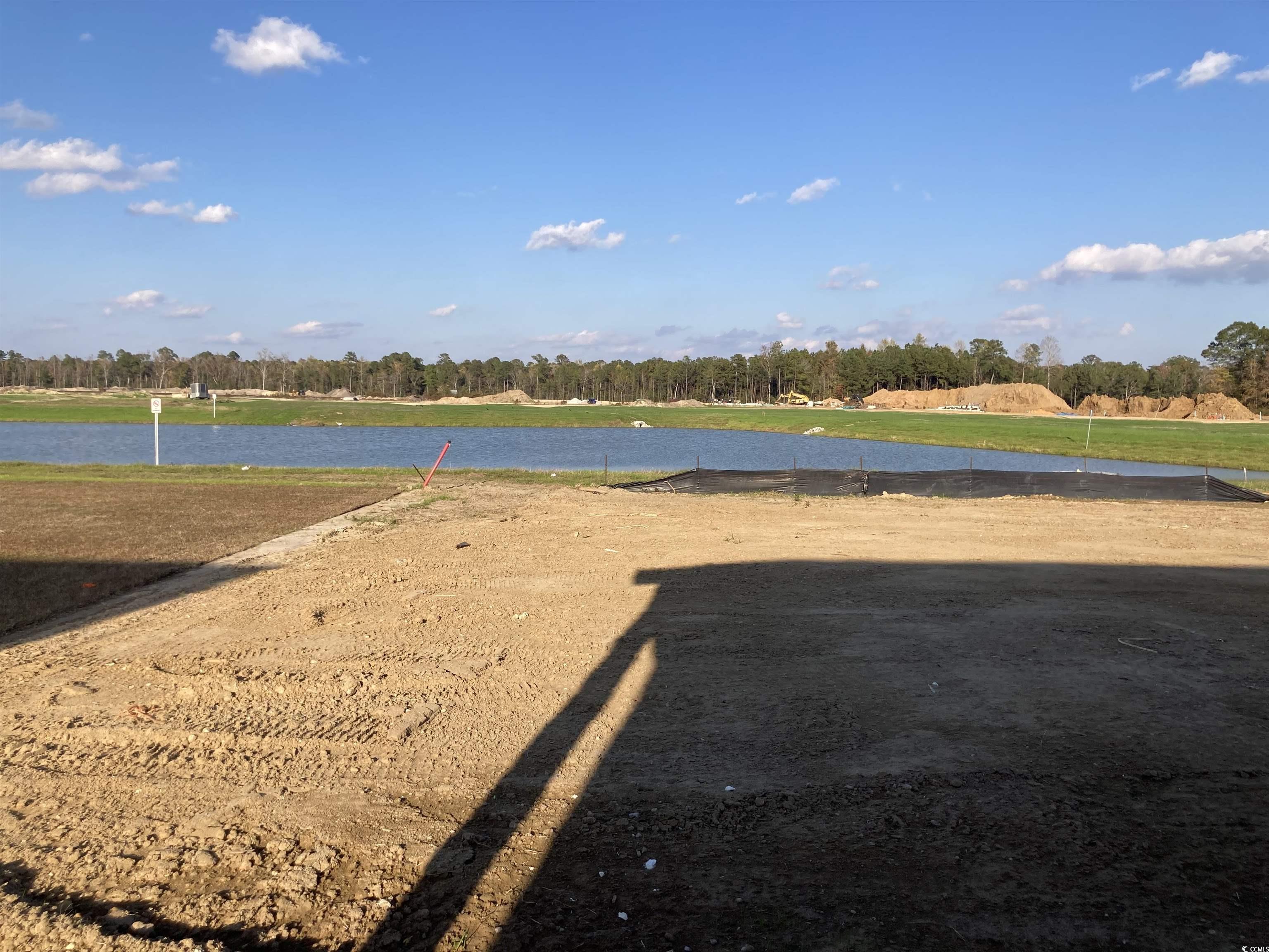 146 River Birch Drive Loris, SC 29569 - Photo 20 of 21 View of yard with a water view