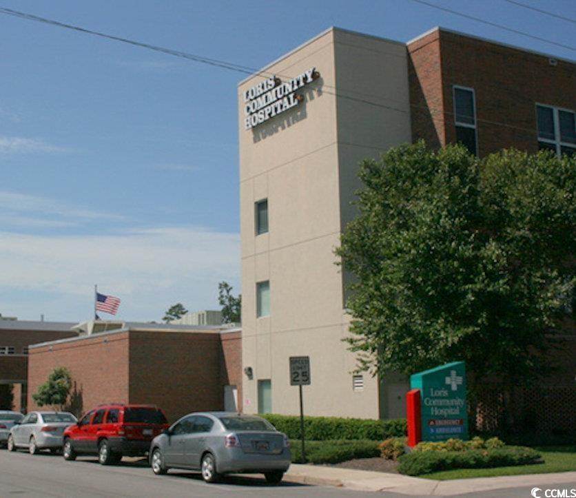 146 River Birch Drive Loris, SC 29569 - Photo 9 of 21 View of property