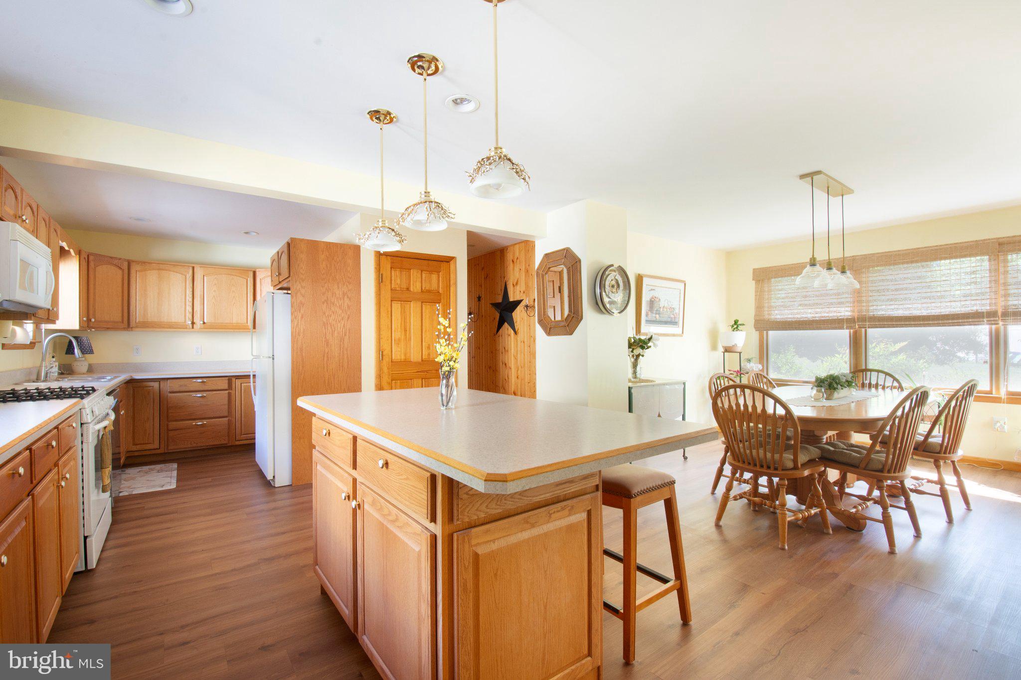 2148 Marshyhope Road Felton, DE 19943 - Photo 15 of 31 Bright and inviting kitchen space.