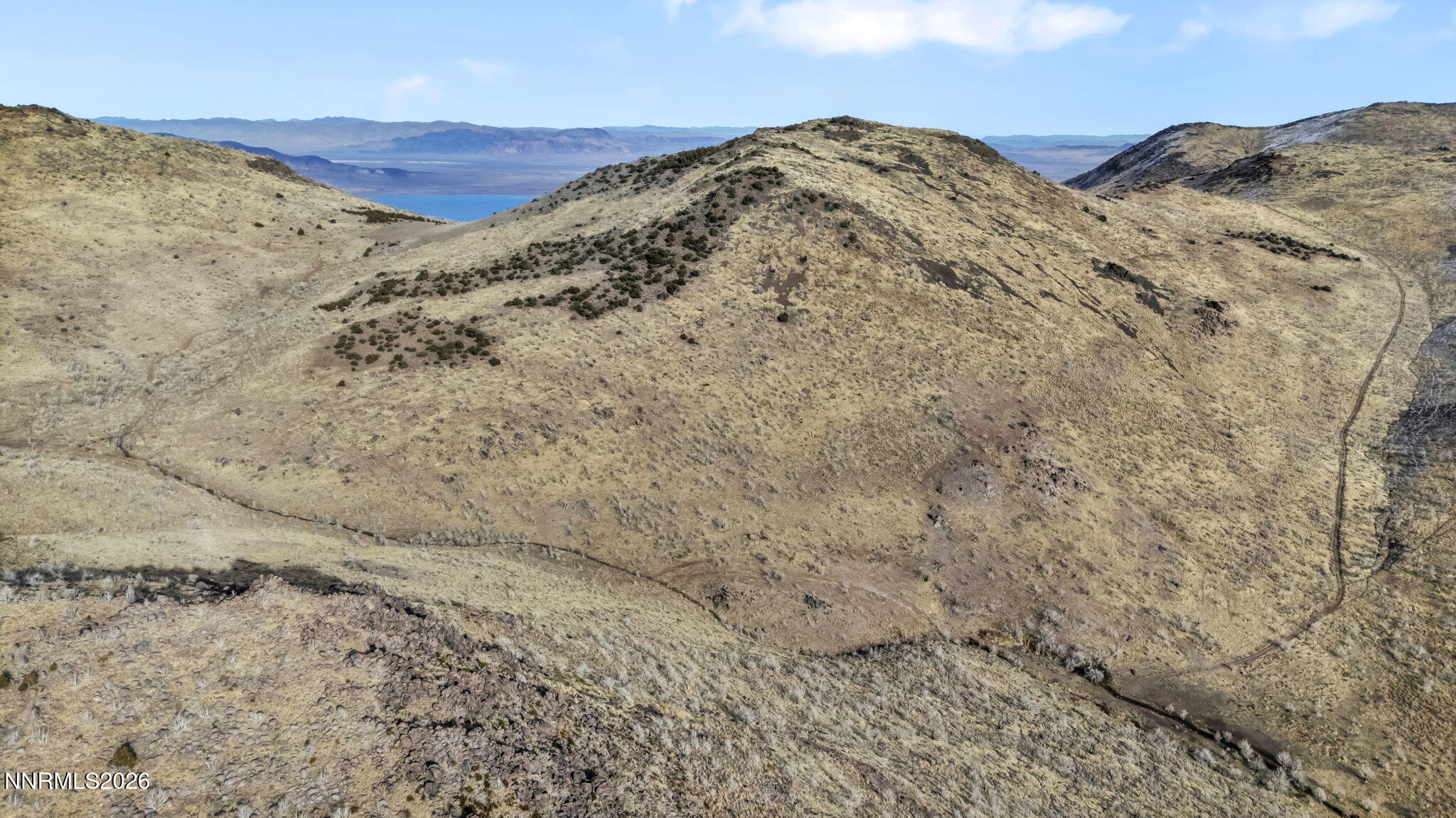 405 Stallion Drive Reno, NV 89510 - Photo 13 of 26 15-web-or-mls-405-stallion-dr