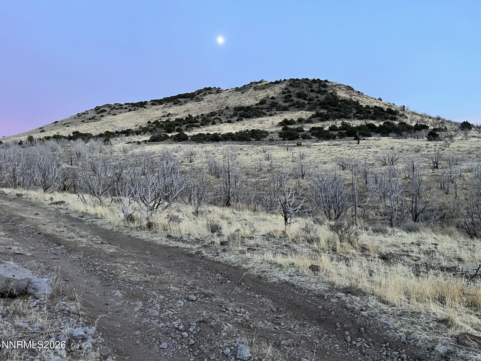 405 Stallion Drive Reno, NV 89510 - Photo 24 of 26 ground pic 4