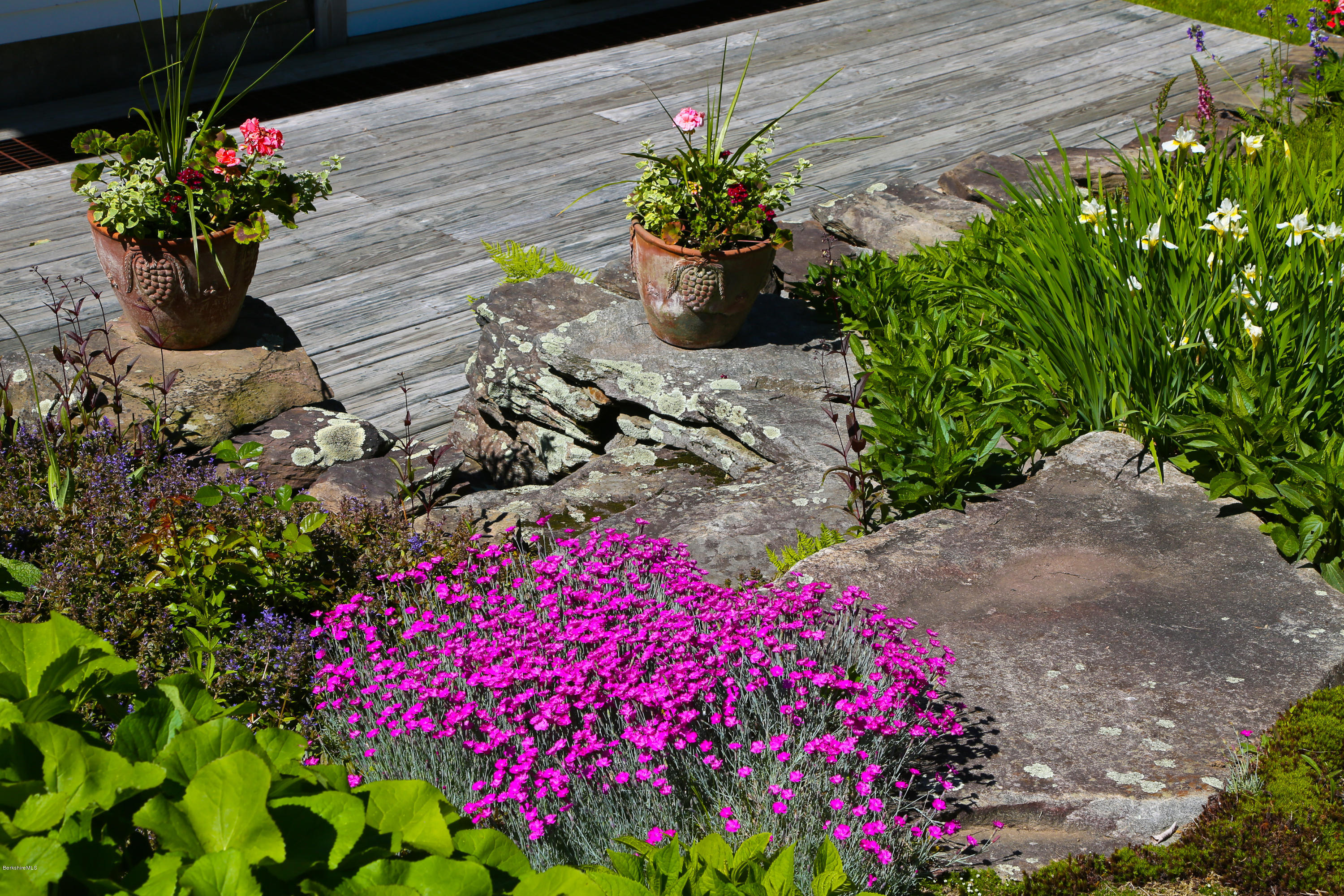 137 Leshure Road Rowe, MA 01367 - Photo 6 of 56 a view of a flower in a yard with flowers