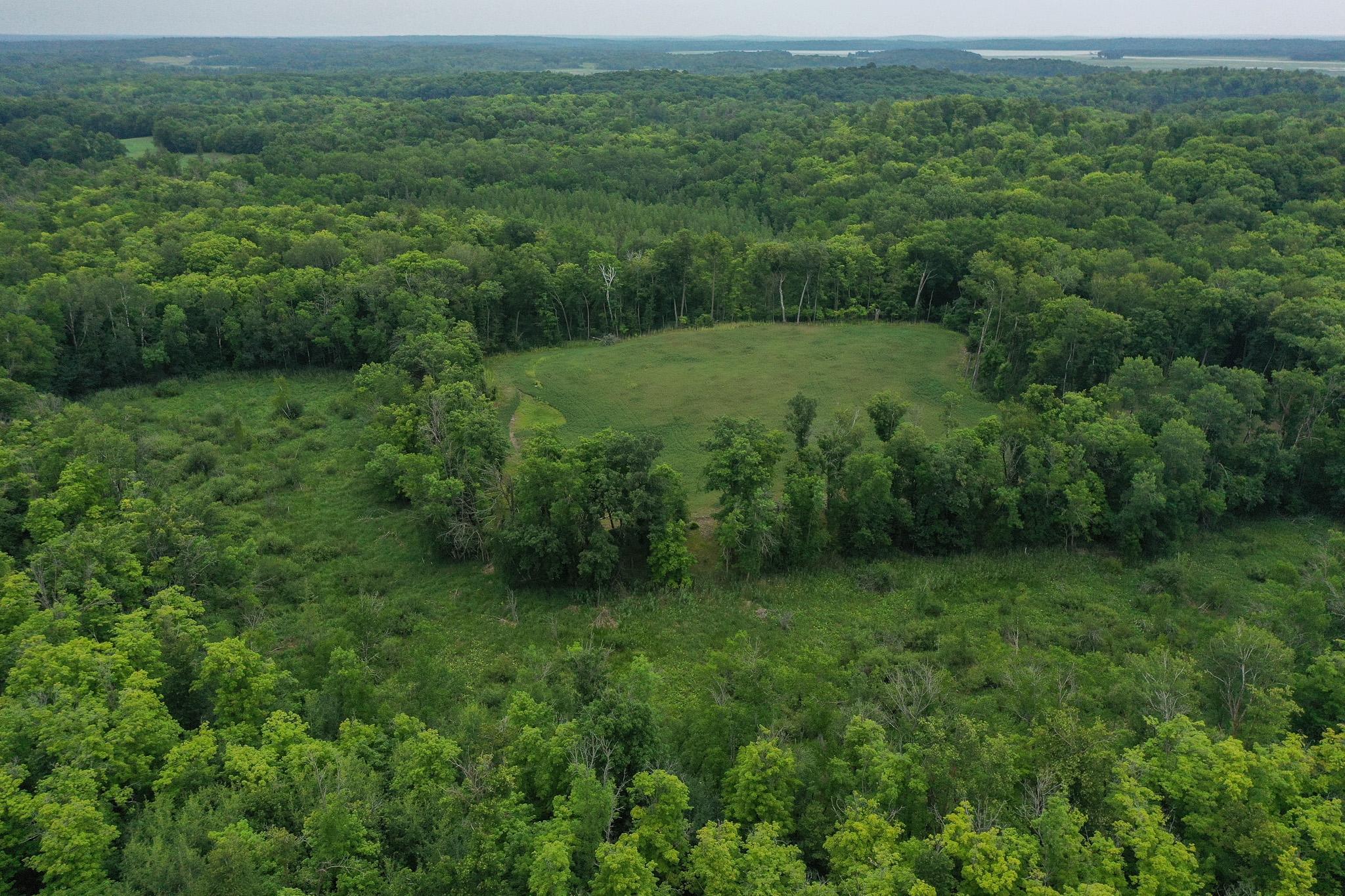 Tbd North Cotton Lake Road Rochert, MN 56578 - Photo 1 of 31 Gallery Image 1