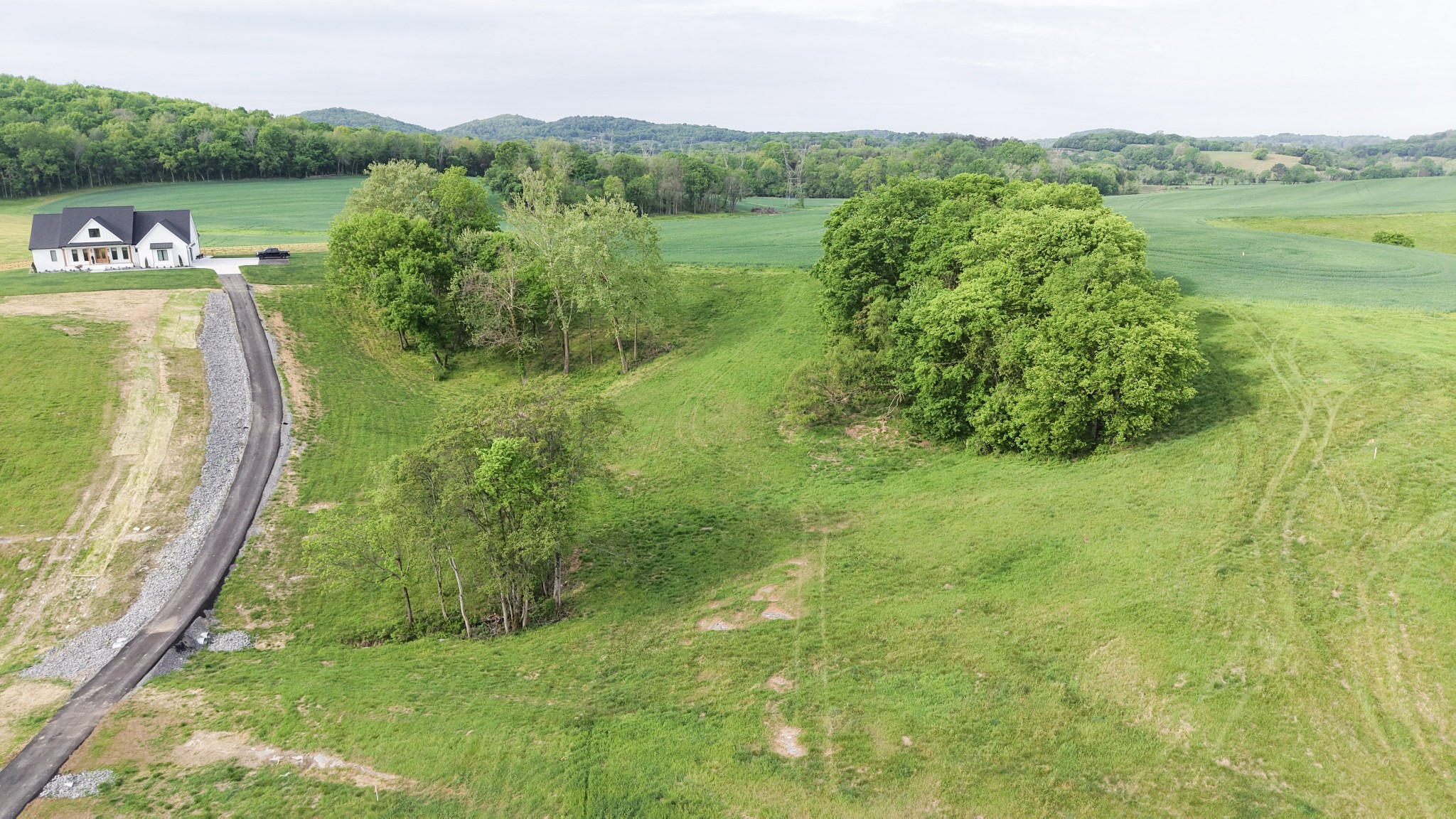 0 Cedar Bluff Road Lebanon, TN 37087 - Photo 4 of 17 Gallery Image 4