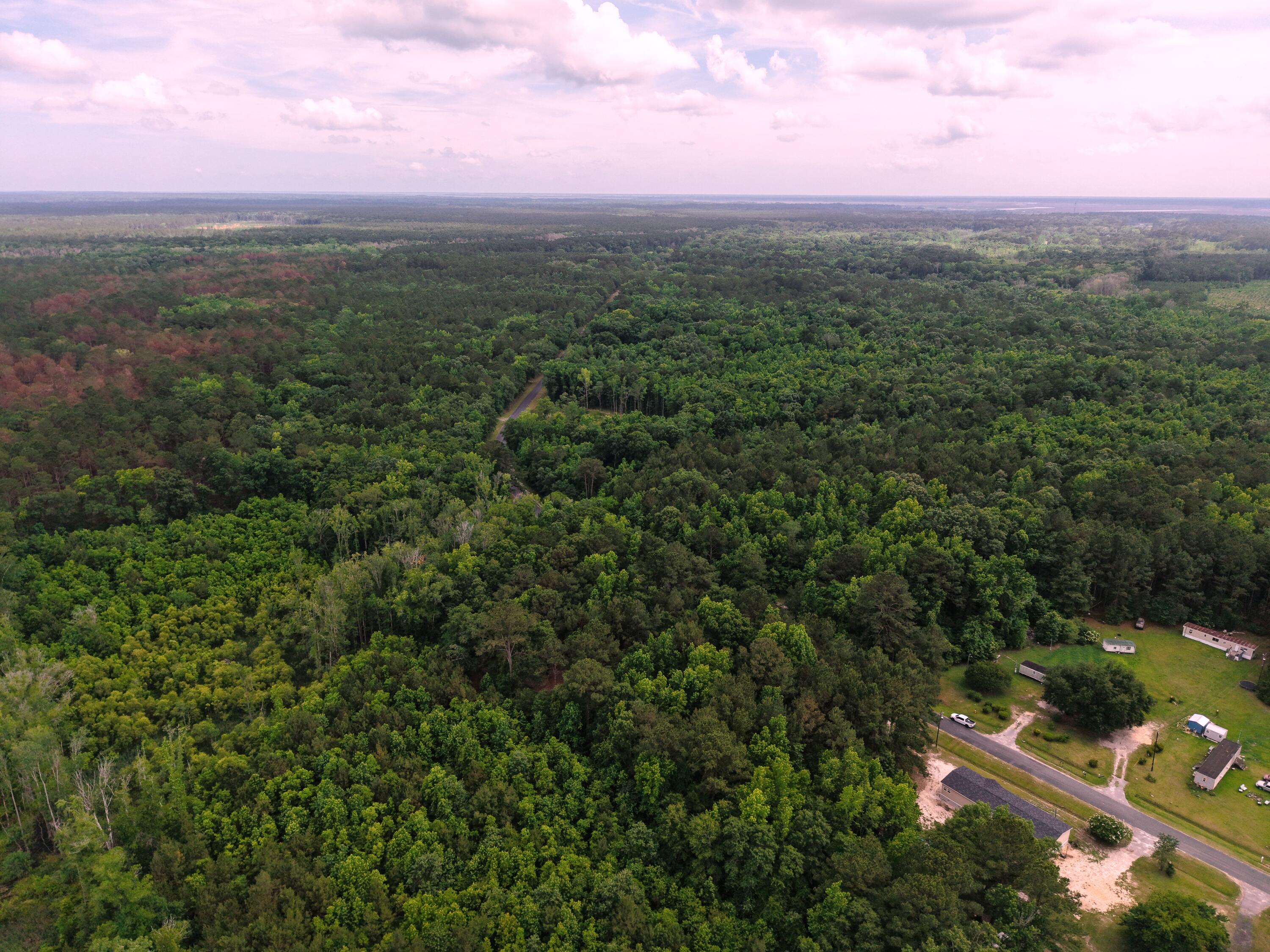 0 Hickory Hill Road Green Pond, SC 29446 - Photo 4 of 20 DJI_20260527153902_0191_D