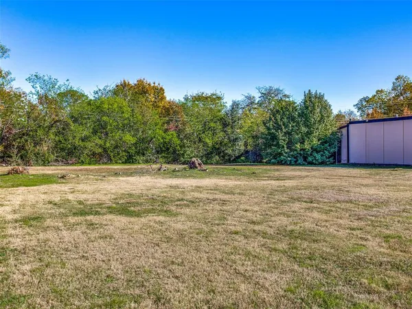 a view of a yard