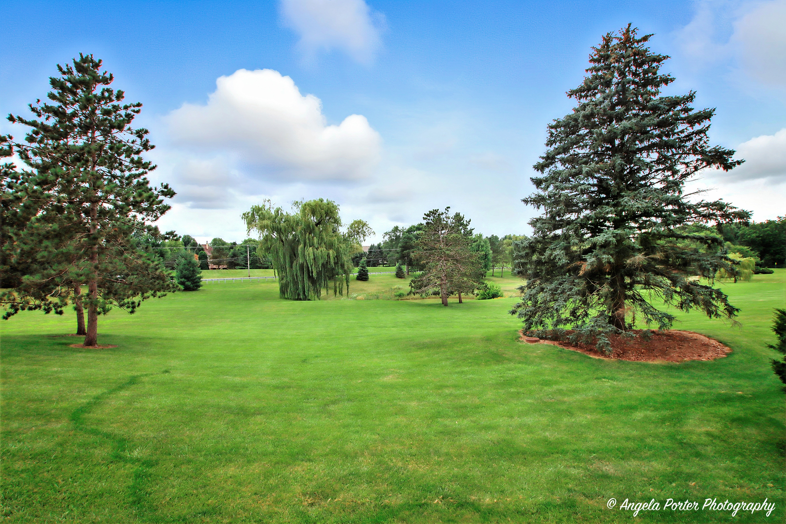 4119 White Ash Road Crystal Lake, IL 60014 - Photo 34 of 48 a view of green field