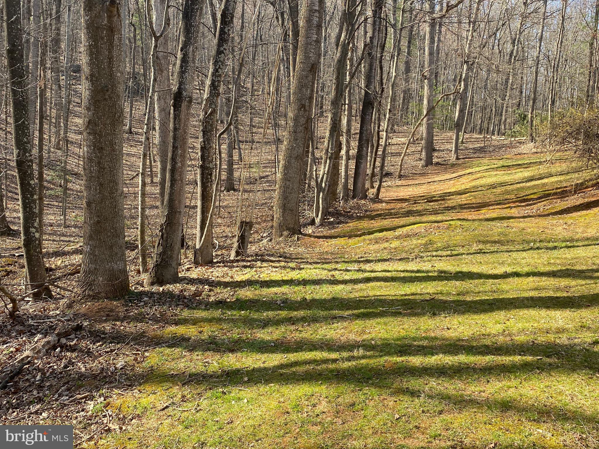 41 Comptons Road Castleton, VA 22716 - Photo 25 of 35 Open around house gently leading into woods.
