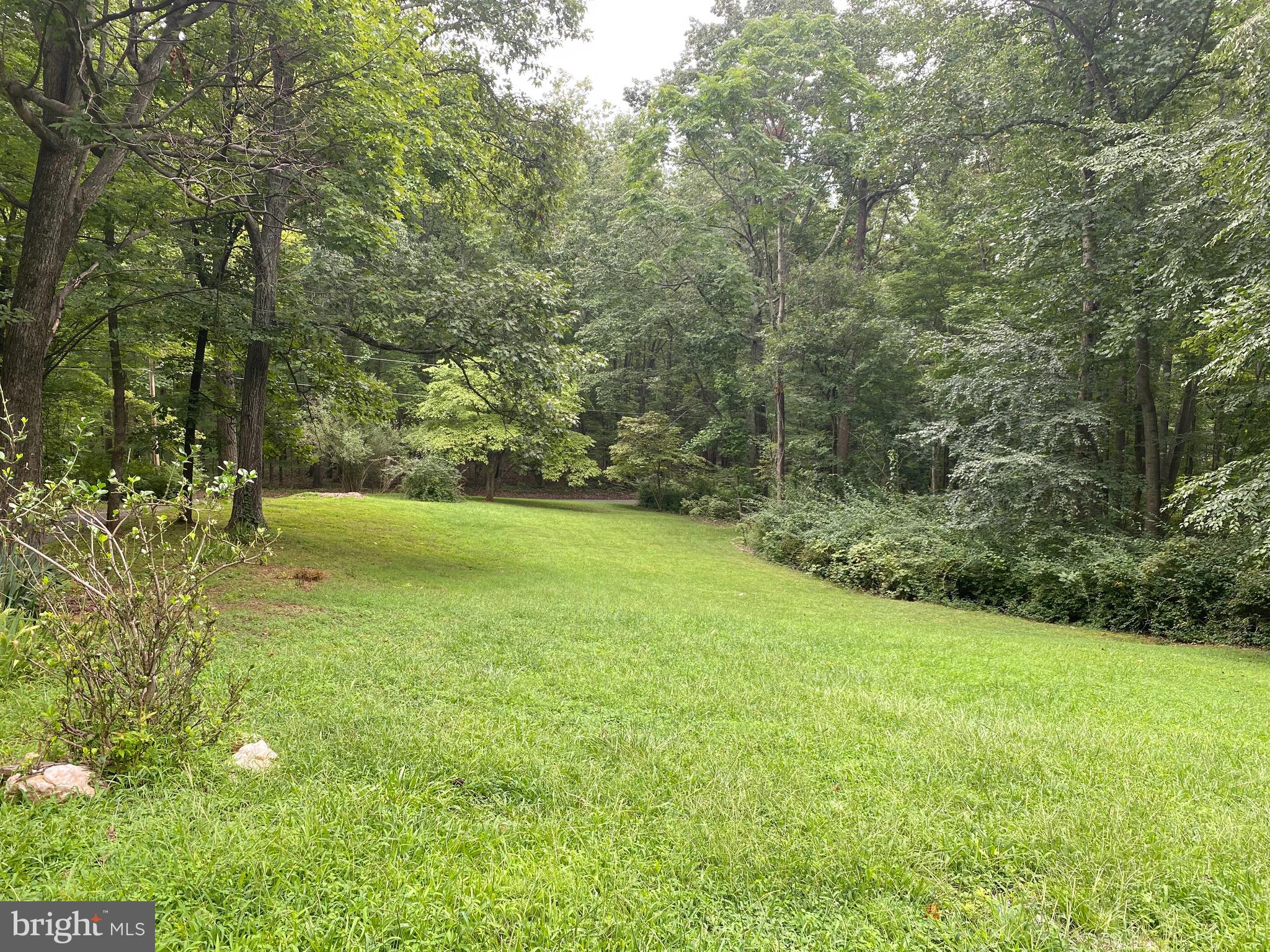 41 Comptons Road Castleton, VA 22716 - Photo 26 of 35 Private setting surrounded by nature.